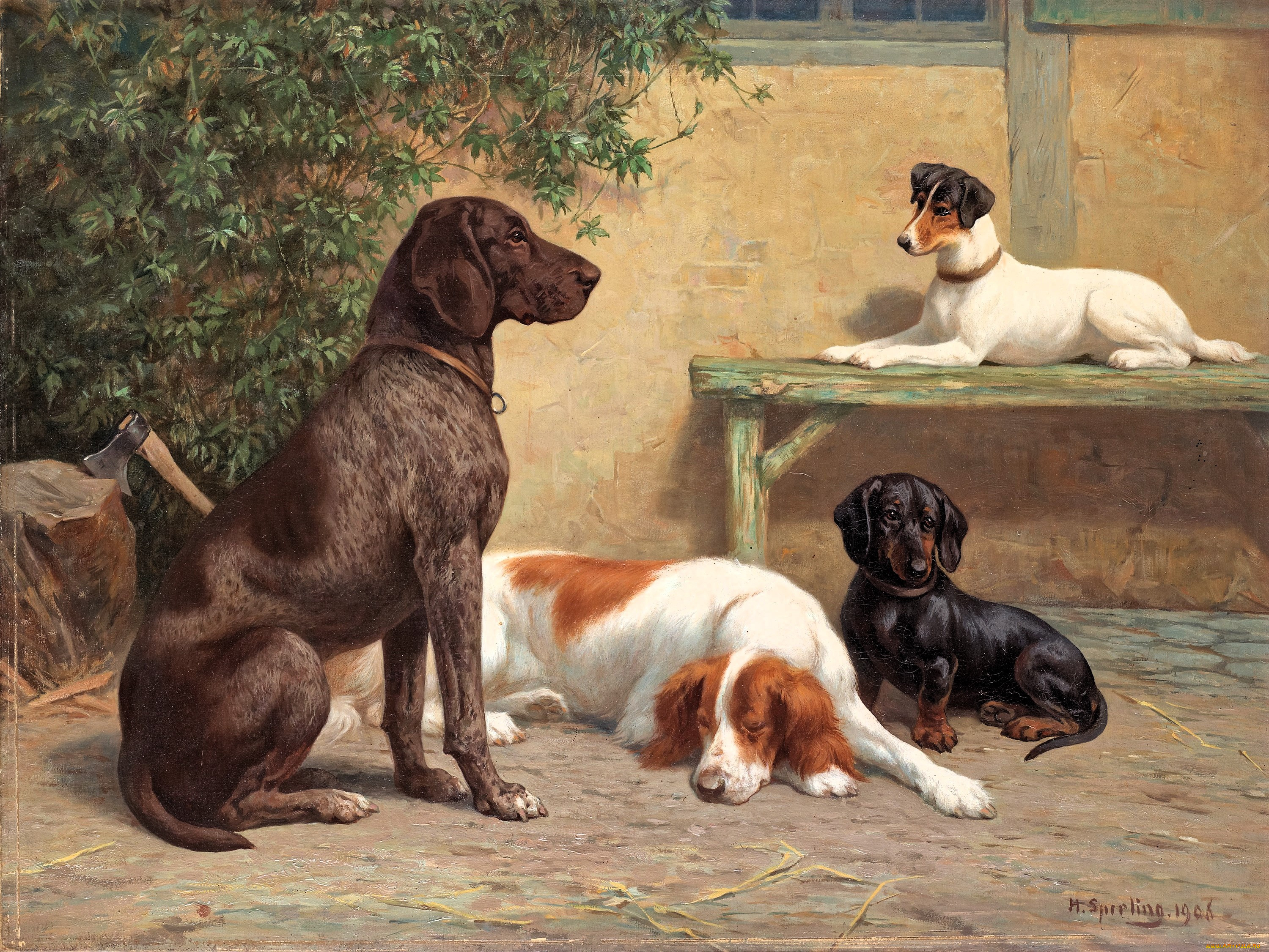 , heinrich sperling, , , , , , 